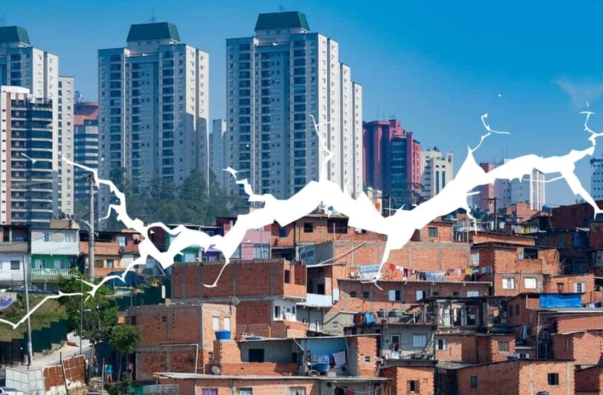 Deficiency of the World Inequality Index Report